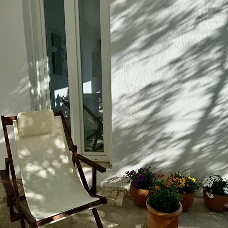 Olive And Stone Kini