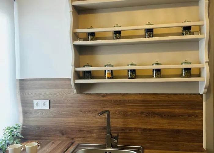 Olive And Stone * Kini