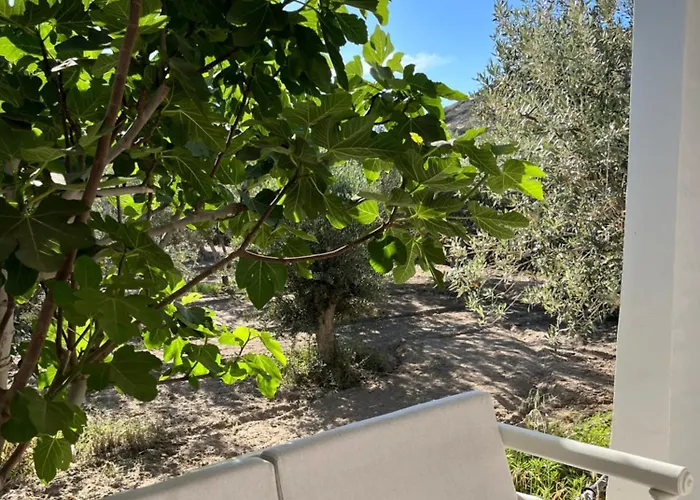 Apartamento Olive And Stone