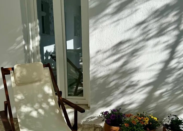 Olive And Stone Kini