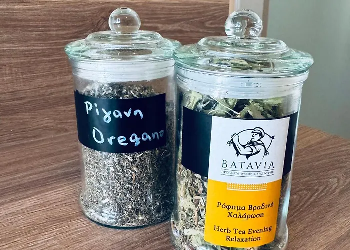 Olive And Stone Apartamento *