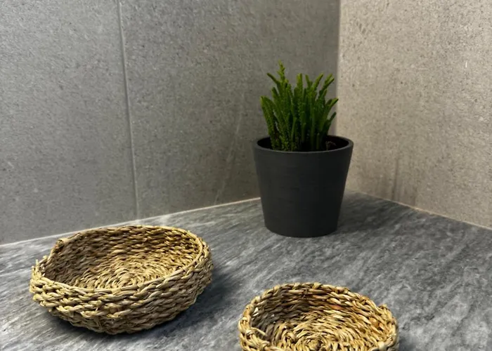 Olive And Stone * Kini