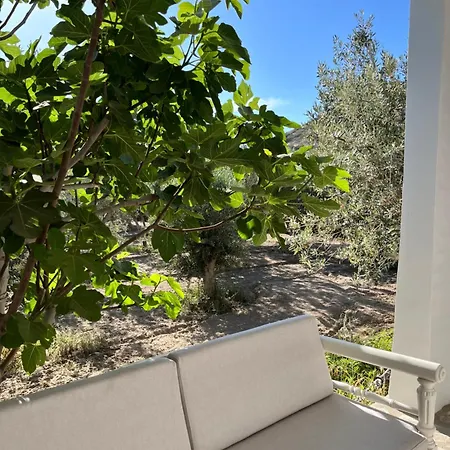 Apartment Olive And Stone