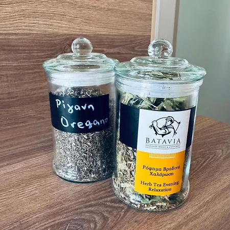 Olive And Stone アパート *