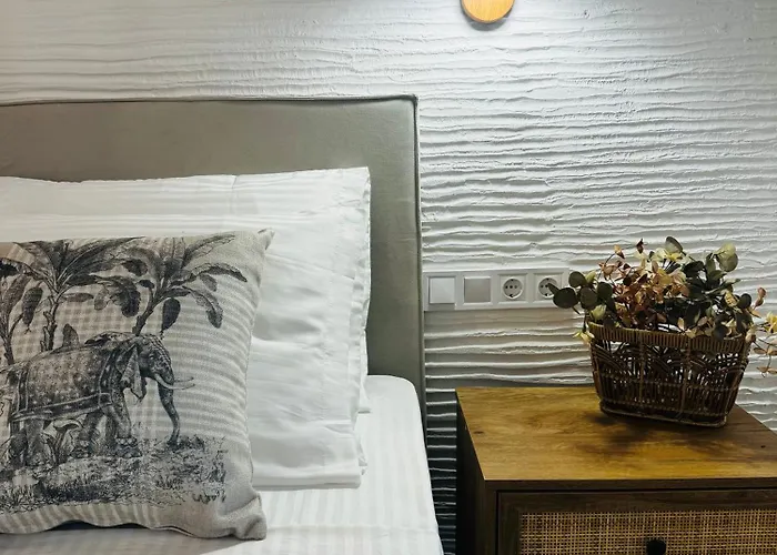 Olive And Stone Daire *