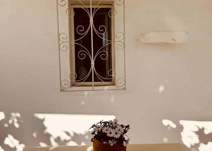 Daire Olive And Stone